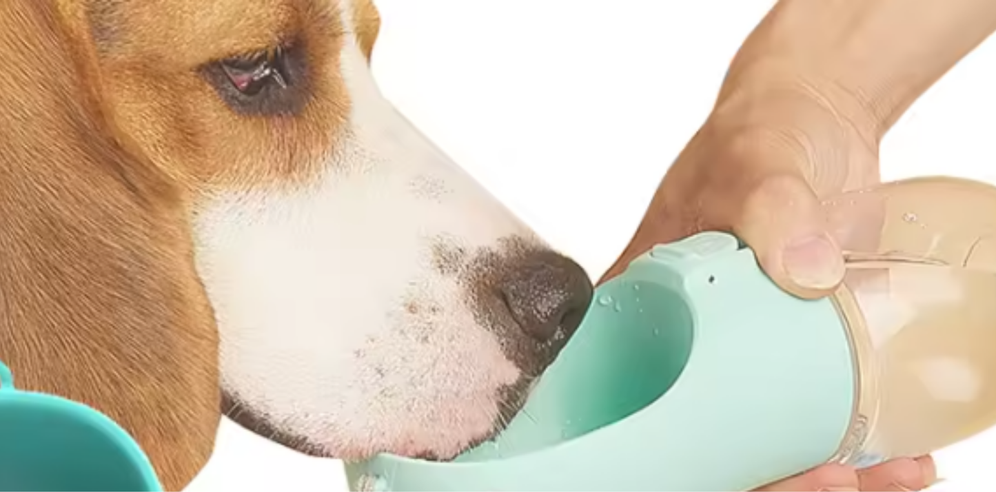 Gourde Ecologique pour Animaux 550ml