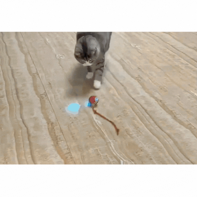 Balle Automatique pour Chat