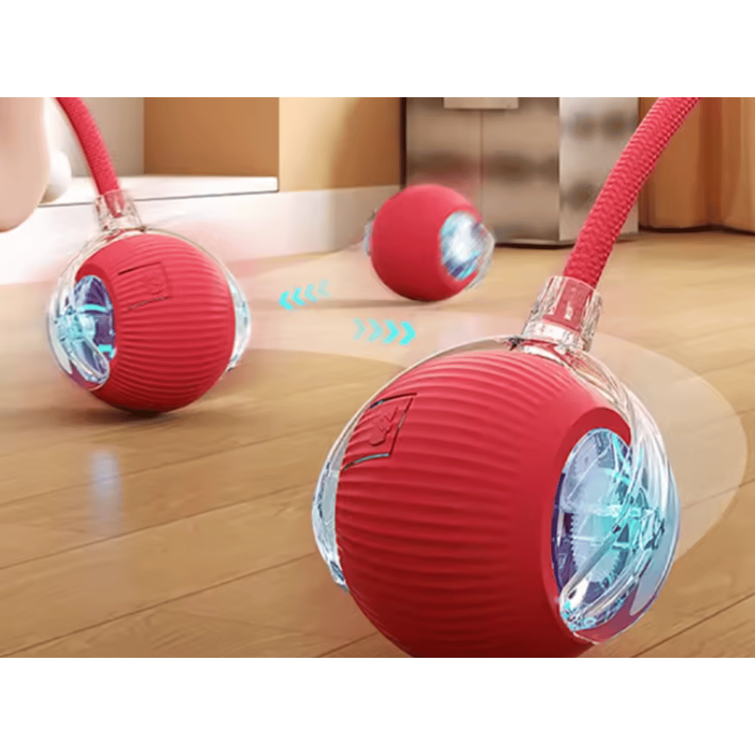 Balle Automatique pour Chat