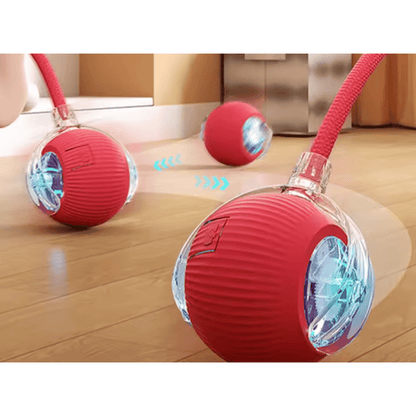 Balle Automatique pour Chat