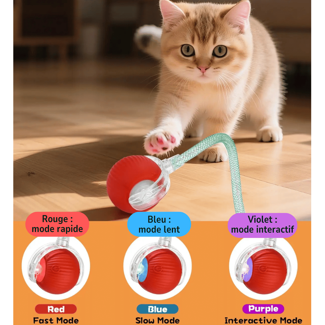 Balle Automatique pour Chat