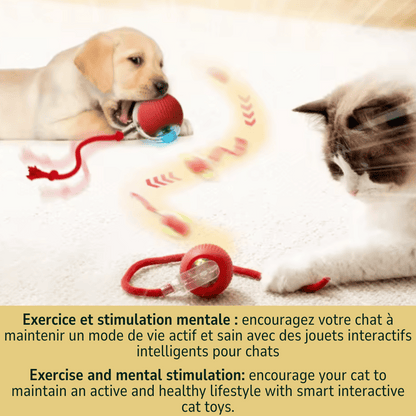 Balle Automatique pour Chat